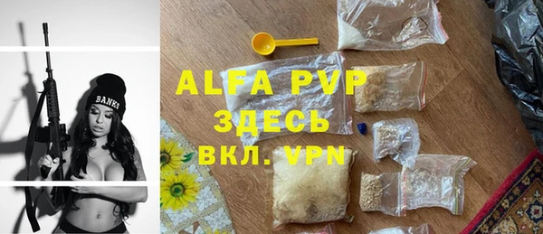 меф Арсеньев